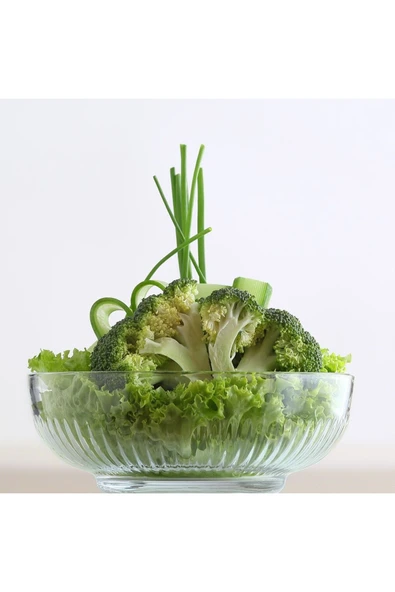 Tokyo Tekli Büyük Boy Salata Kasesi 1500cc ürün görseli