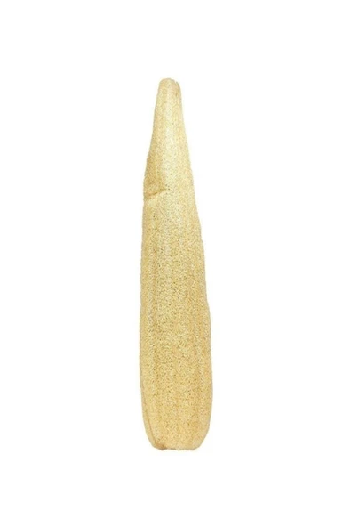 ÇİDEM'S Kese Hamam Kesesi Kabak Lifi 60 - 70 Cm Ham Kabak Lifi Işlenmemiş Lif Kabak - 2