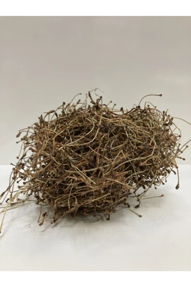 Düzenler Kiraz Sapı 50gr