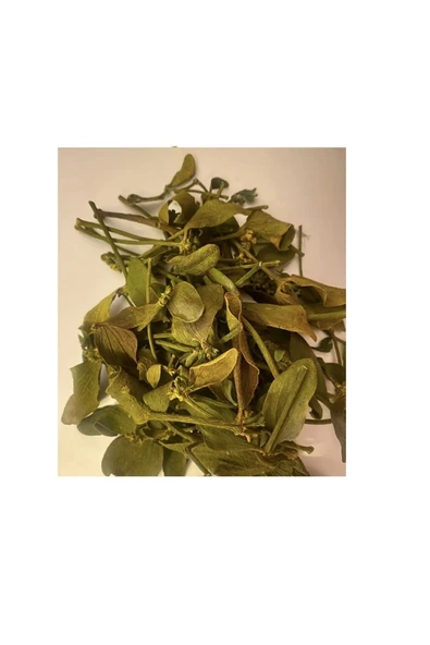 DVD Lokman Aktar Lokman Aktar Ökse Otu 50 gr ürün görseli