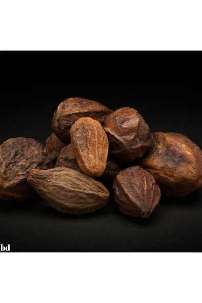 Bade Shop Sarı Halile 100 gram ( Terminalia Chebula ) Sarıhalile Bitkisi - Resim 2