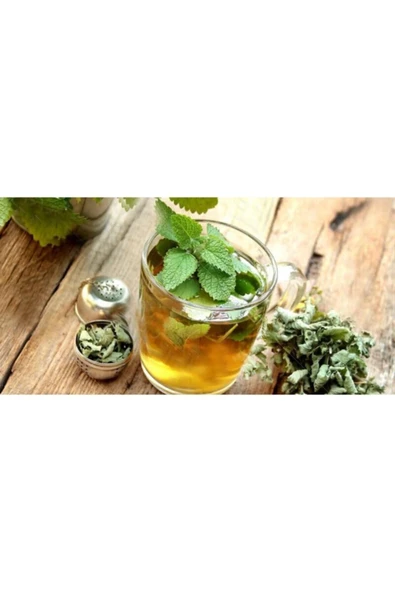 Organik Bi'Yer 100 Gr Melisa Otu - Oğul Otu- Melisa Limonlu - 2