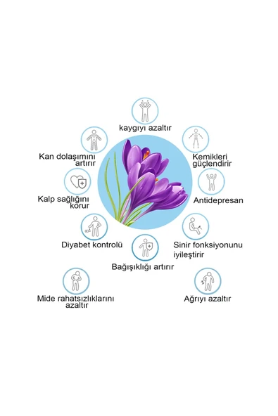 Golestan İran Safranı 2 gr - 3