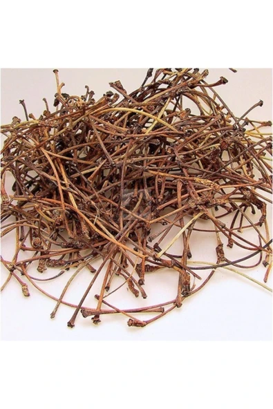 Aktar Store Kiraz Sapı 100 gr - 1