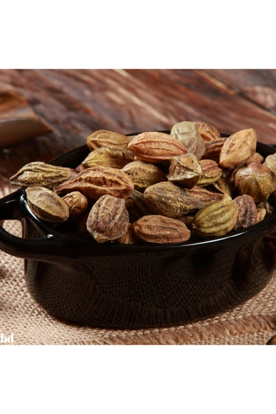 Bade Shop Sarı Halile 100 gram ( Terminalia Chebula ) Sarıhalile Bitkisi ürün görseli