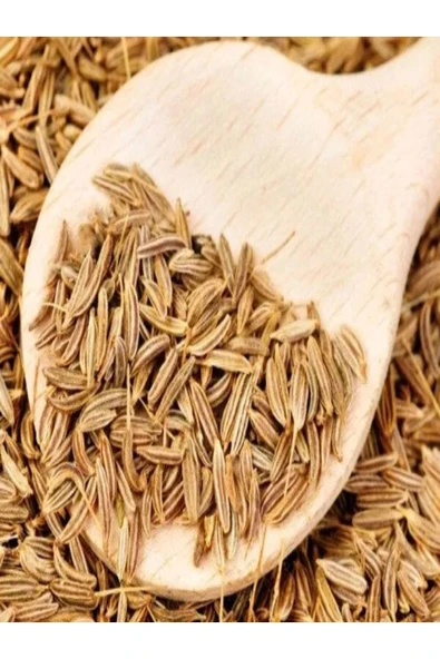 HALLOUMOĞLU Anason Tane 300 Gr - Resim 7