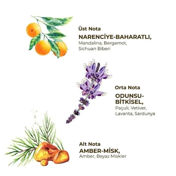 Eyüp Sabri Tuncer Roll On Deodorant Erkek İçin Sport 75 ml - 2