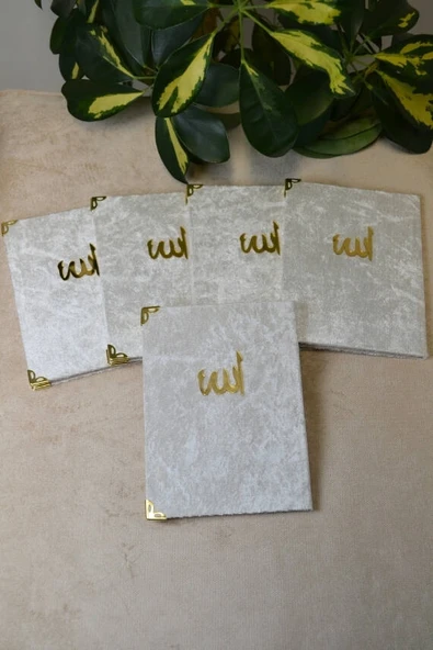 Kadife Kapaklı Allah Lafızlı Ekonomik Yasin Kitabı Ekru - 12x17 cm, 80 Sayfa - Resim 5