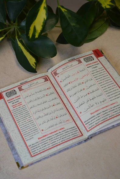 Kadife Kapaklı Allah Lafızlı Ekonomik Yasin Kitabı Gri - 12x17 cm, 80 Sayfa - Resim 4