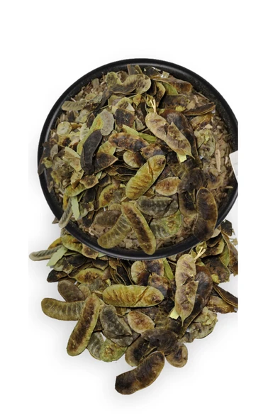 Zarifoğlu Açlık Otu Bitkisi Şifalı Bitkiler 50 gr - 4