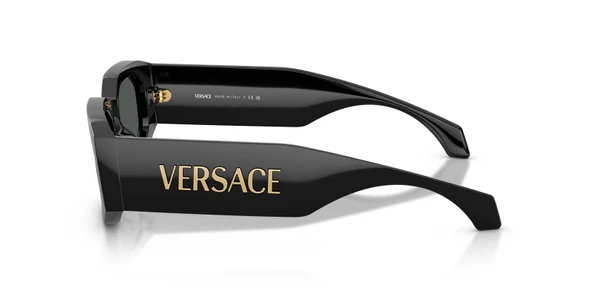 Versace VE4489U GB1/87 55 Erkek Güneş Gözlüğü - 2