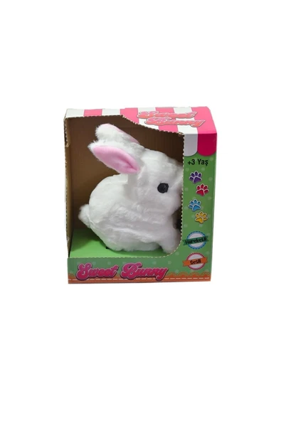 Tavşan Peluş Pilli 1 Adet Stokta Olan Gönderilir - 2