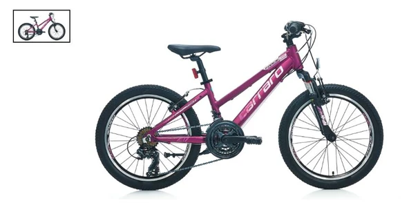 20 CARRARO FORCE 201 250H 21-V VB MAT MÜRDÜM-PEMBE R1