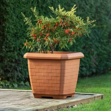 Omnipazar SO-HK03 Hisar Kare Tabaklı Saksı 25.5 litre No 3 - 6