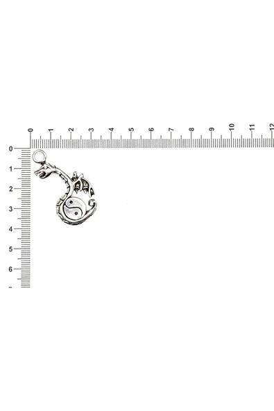 EJDERHA FİGÜRÜ İLE İLGİLİ METAL AKSESUARLAR VE KOLYE UÇLARI - Resim 5
