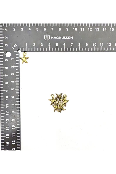 DENİZ YILDIZI FİGÜRÜ İLE İLGİLİ BİLEKLİK SALLANTI APARATI - Resim 4