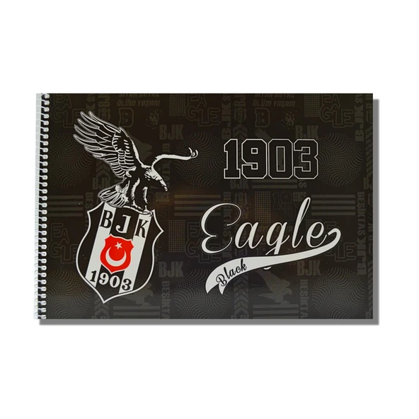 Beşiktaş 17x24 15 Yaprak Karton Kapak Spiralli Resim Defteri 12 Adet - 2