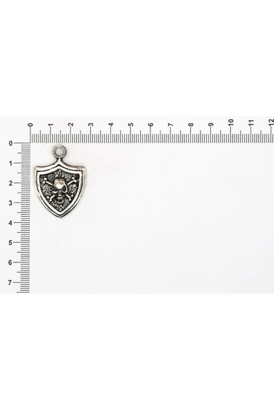 KURU KAFA FİGÜRÜ İLE İLGİLİ METAL AKSESUARLAR VE KOLYE UÇLARI - Resim 7