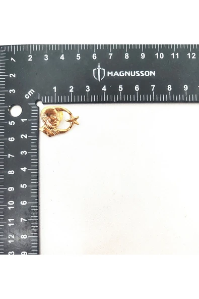 ATATÜRK VE TÜRKİYE TEMALI ROZET (15 ADET) - Resim 8