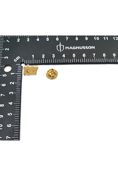 ATATÜRK VE TÜRKİYE TEMALI ROZET (15 ADET) - Resim 9