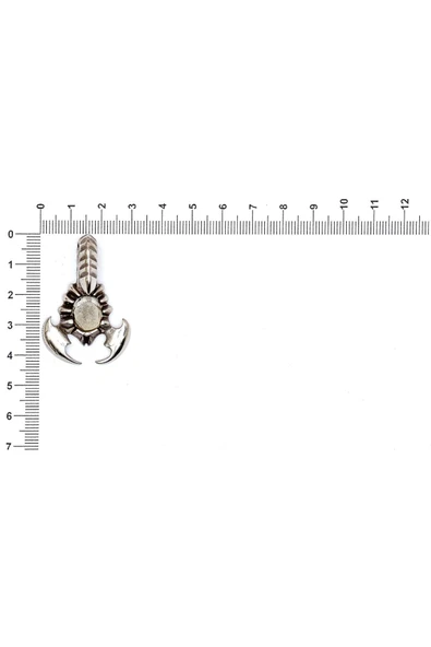 SÜRÜNGEN FİGÜRÜ İLE İLGİLİ METAL AKSESUARLAR VE KOLYE UÇLARI - Resim 12