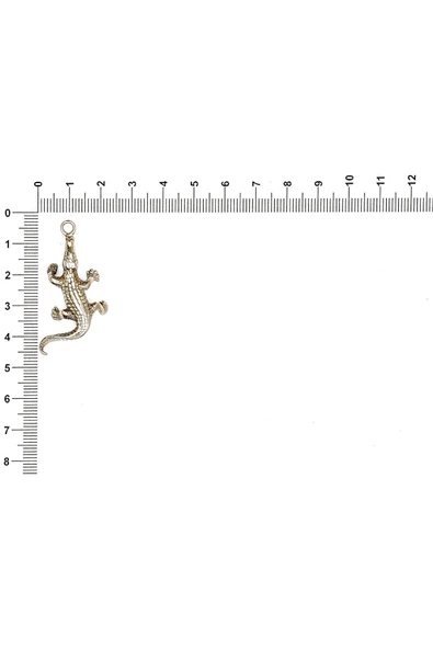 SÜRÜNGEN FİGÜRÜ İLE İLGİLİ METAL AKSESUARLAR VE KOLYE UÇLARI - Resim 11