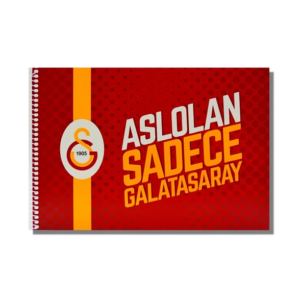 Galatasaray 17x24 15 Yaprak Karton Kapak Spiralli Resim Defteri 3 Adet - 2