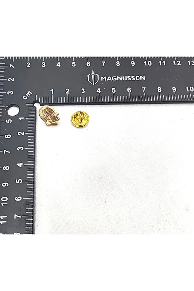 ATATÜRK VE TÜRKİYE TEMALI ROZET (15 ADET) - Resim 5