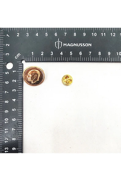 ATATÜRK VE TÜRKİYE TEMALI ROZET (15 ADET) - Resim 6