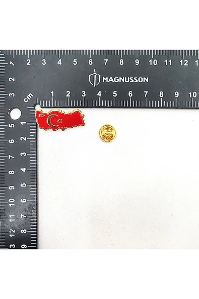ATATÜRK VE TÜRKİYE TEMALI ROZET (15 ADET) - Resim 3