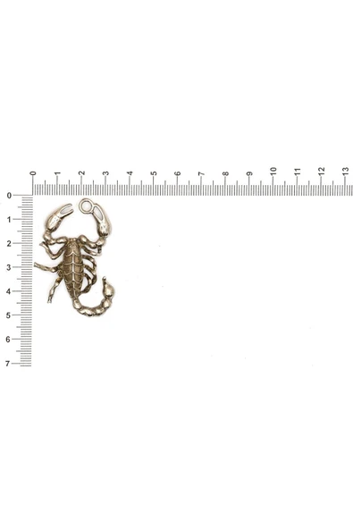 SÜRÜNGEN FİGÜRÜ İLE İLGİLİ METAL AKSESUARLAR VE KOLYE UÇLARI - Resim 10