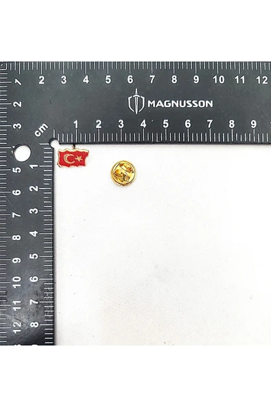 ATATÜRK VE TÜRKİYE TEMALI ROZET (15 ADET) - Resim 12