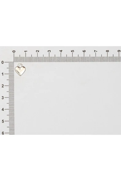 TESPİH SALLANTI APARATI (50 ADET) - Resim 8