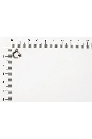 TESPİH SALLANTI APARATI (50 ADET) ürün görseli 1