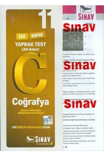 Sınav 11.Sınıf Coğrafya Yaprak Test