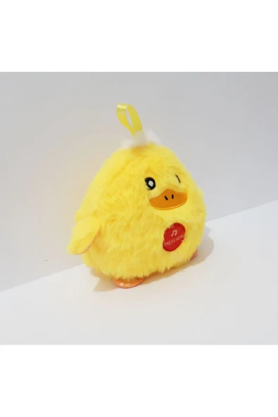 Renkli Çiçekler 12x12 CM Sevimli Peluş Sesli Oyuncak