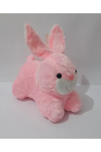 Renkli Çiçekler 23 Cm Peluş Sevimli Tavşan Oyuncak