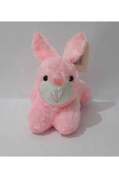 Renkli Çiçekler 23 Cm Peluş Sevimli Tavşan Oyuncak - 5