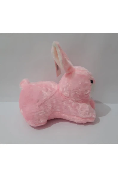 Renkli Çiçekler 23 Cm Peluş Sevimli Tavşan Oyuncak - 3