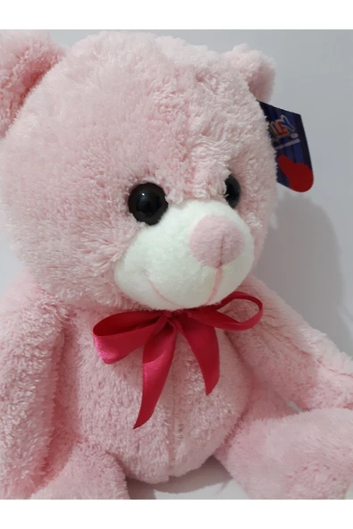 Renkli Çiçekler 30 Cm Peluş Oyuncak Ayı - 3