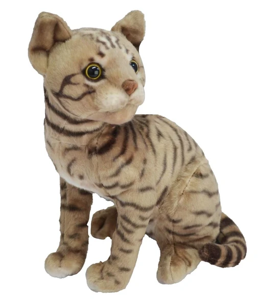 43 CM PELUŞ KEDİ HALLEY - 2