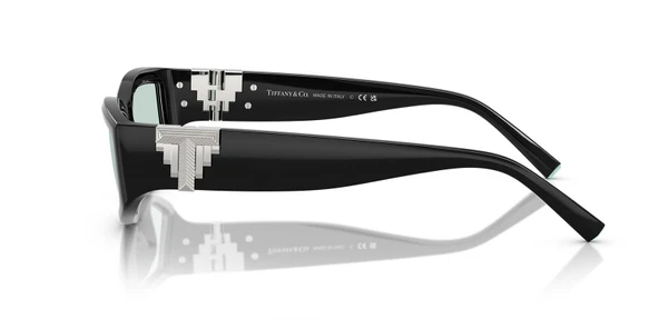 Tiffany TF4234U 8001D9 55 Unisex Güneş Gözlüğü - 2