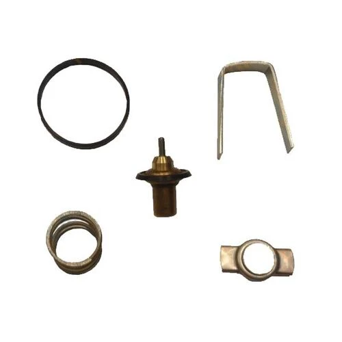 Elba 860010  Iç Termostat 89 C V2789 CLIO Megane Kangoo 1.5DCI ürün görseli 1