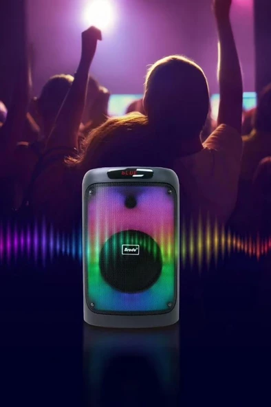 Torima BTS-2102 33 W  Karaoke Subwoofer Çift mikrofonlu Taşınabilir 3000 mAh Akıllı Bluetooth Hoparlör - Resim 4