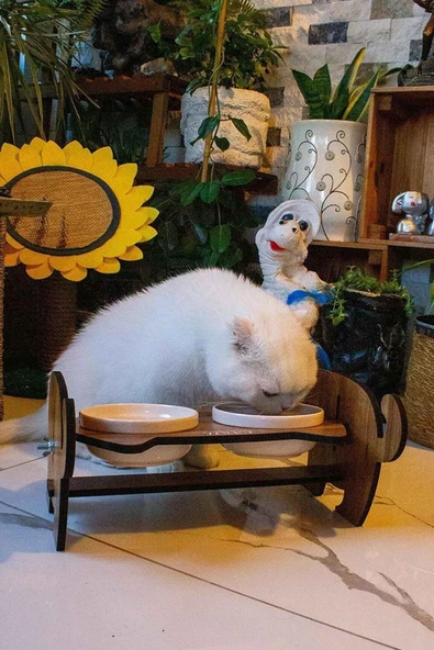 Ahşap Kedi Mama Seramik Su Kabı Standı,Kedili Mama Kabı, Hediye Kedi Halısı - 2
