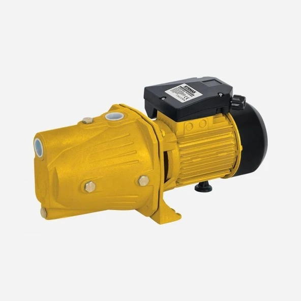 RTM8760 Su Pompası 750 W / 1.0 Hp 1 x 1'' 46 Mt - 1
