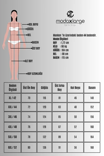 Kadın Büyük Beden Fırfır Detaylı Gömlek 1720-25-1 - 8