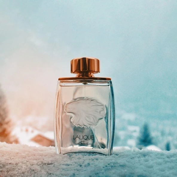 Lalique Pour Homme EDP 125 ml Erkek Parfümü - 4