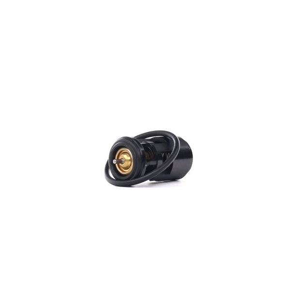 Audi A3,Seat Ibiza,Toledo,Leon,Altea,Skoda Octavia,Fabia,VW Golf 4,5,Bora, Termostat 032121110B