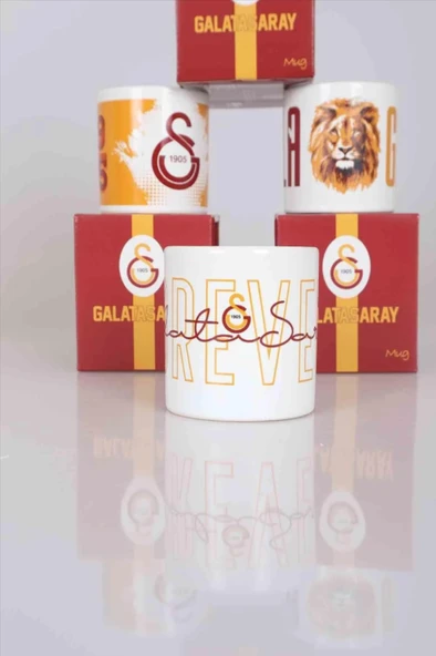 Galatasaray Lisanslı Seramik Kupa - 6